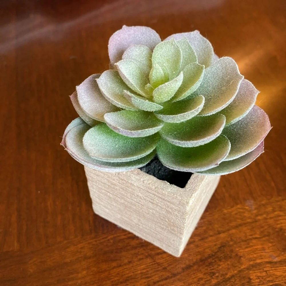 Faux Succulents set of two. EUC